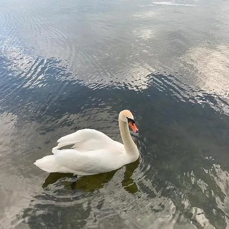 Neue Stillvolle Im Steinbach Palais, Ideale Lage Bad Saarow