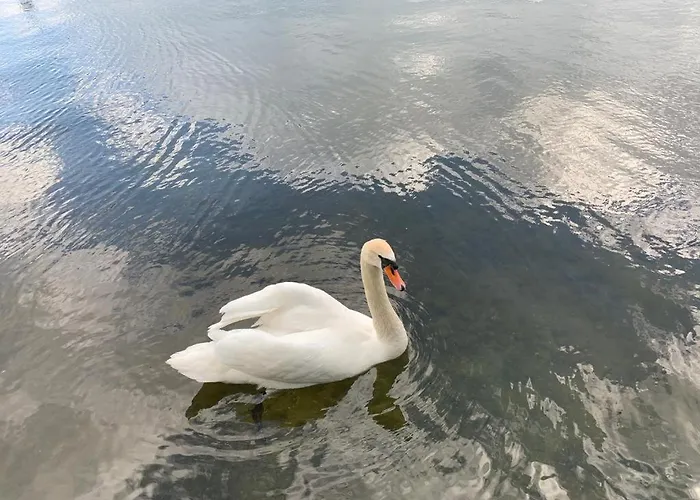 Neue Stillvolle Im Steinbach Palais, Ideale Lage バート・ザーロー